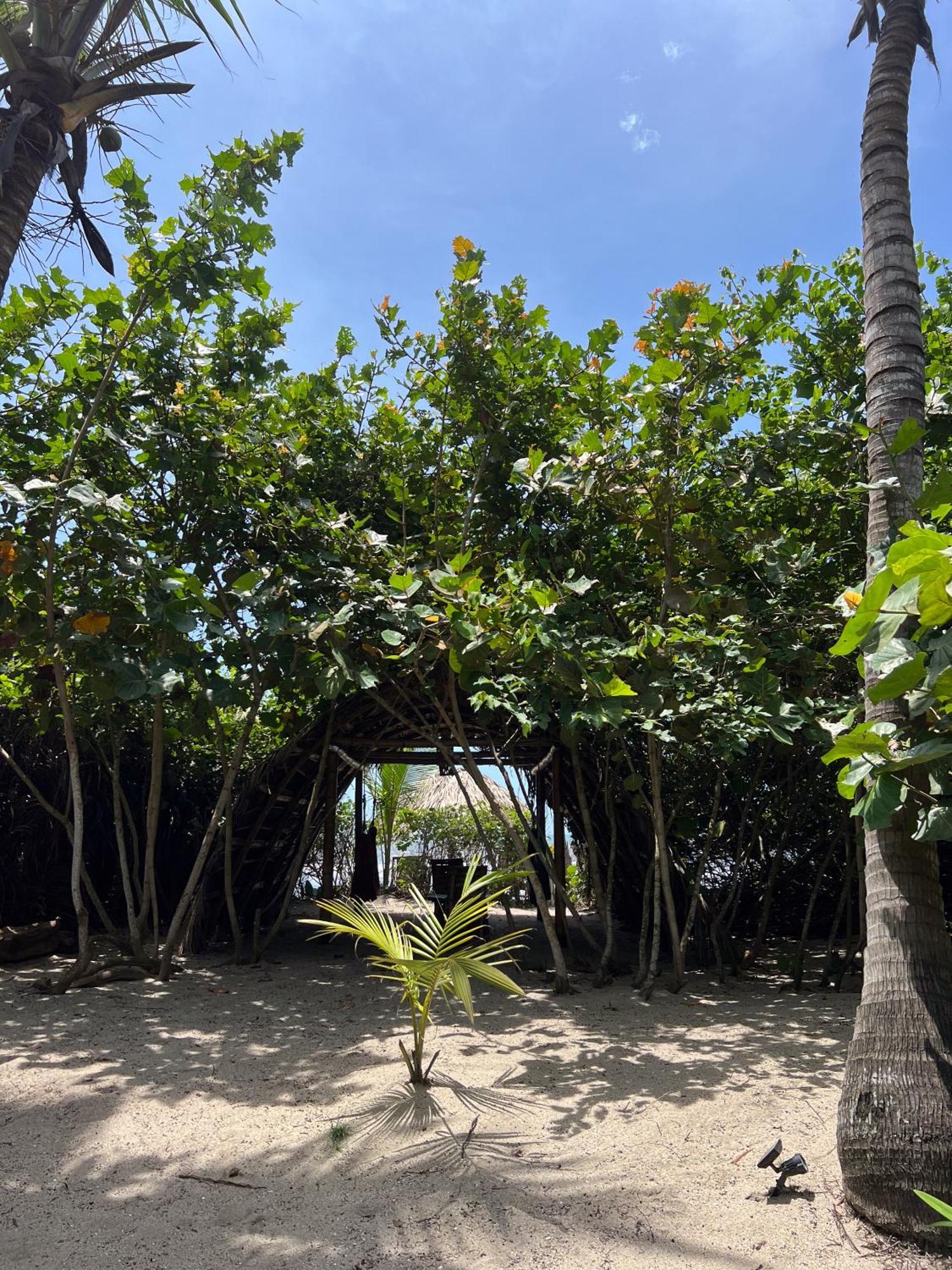 Hotel Lote 10 Glamping à Guachaca Extérieur photo